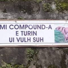 Not found