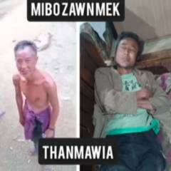 Vartekkai mibo zawng