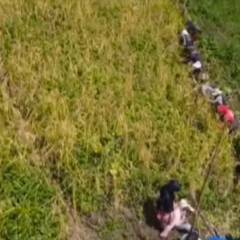 YMA in buh seng sak